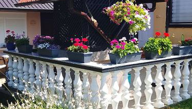 Dobrodošli - Foto 2