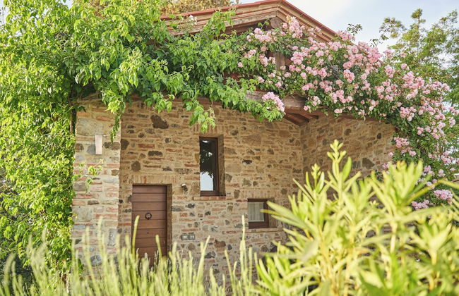 Poggio Piglia - Photo 13