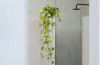 Magnolia Villas Thassos - Foto 25