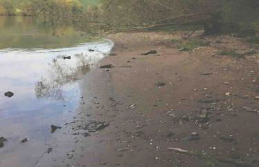 Wohnen direkt am Moselstrand - Foto 39