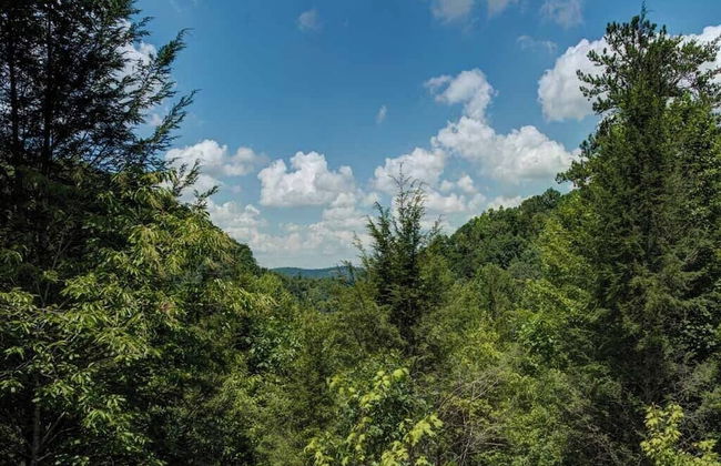 Tender Moments - Foto 29