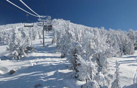 101 McCloud - Simply Elegant - Foto 8