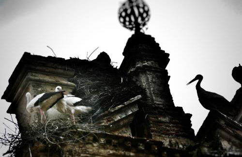 BELIA A.T. - Foto 21