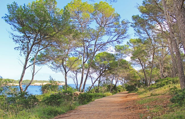 Aparthotel Niu d´Aus - Photo 22