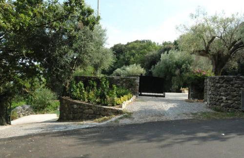 The Wonder 400m from the Sea - Photo 35