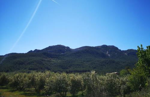 L'Antic Forn de Paüls - Foto 54