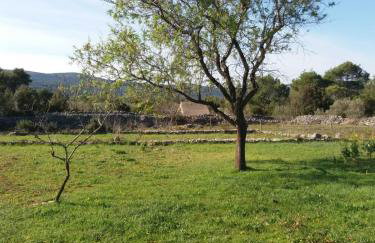 Hvar Mediterranean Ranch House - Foto 46