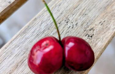 Ferienwohnung Klaus Siegritzberg - Foto 6