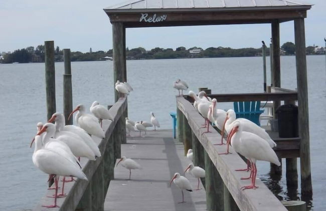 Paradise Cove at Lemon Bay - Foto 59