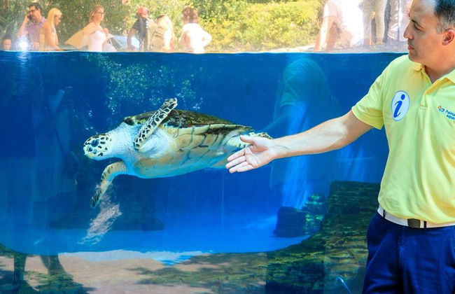 Palma Aquarium - Ticket - Foto 10