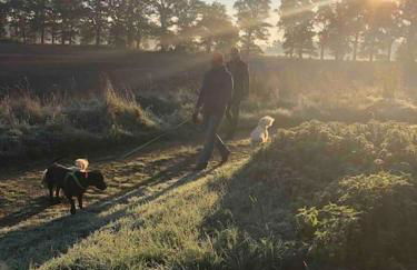 Haus an Fluss und See - Foto 31