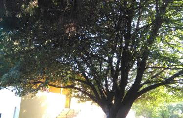 Martha's Villa - Foto 15