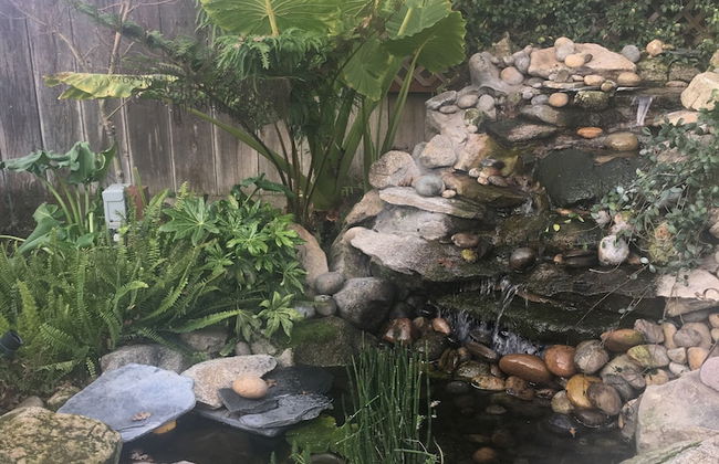 Sequoia Parks Coast Wineries Skiing-Enjoy Hot Tub Firepit Outdoor Kitchen - Foto 55