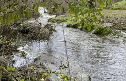 Casa dos Moinhos de Aveia - Foto 22