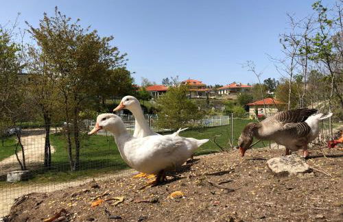 Casa da Quinta da Prelada Simão partie basse - Foto 56