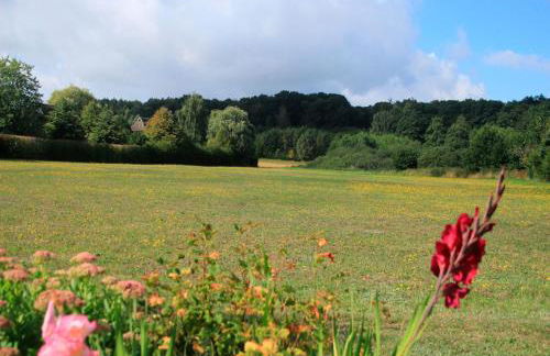 Ferienhaus Insel Rügen - Foto 14
