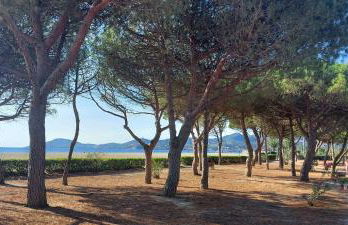 Sur la plage, super studio avec vue sur la mer - Photo 12