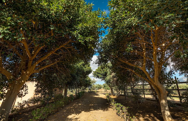 Casette di Calzata - Foto 21