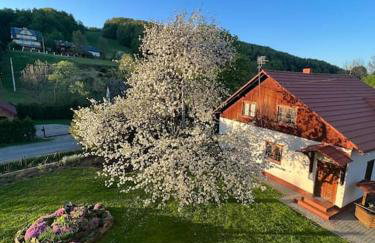 Kaczmarówka - Foto 76