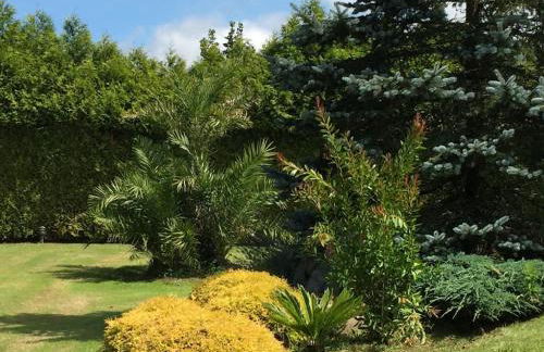 Casa Do Rivera - Foto 43