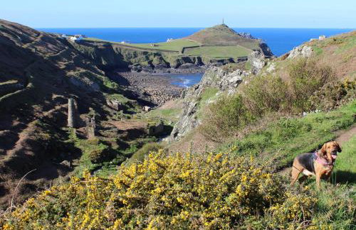 The Stables - Foto 38