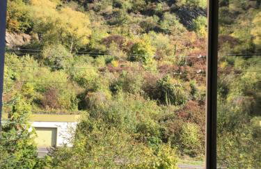 Paradiesisch Wohnen - Loreley - Foto 78