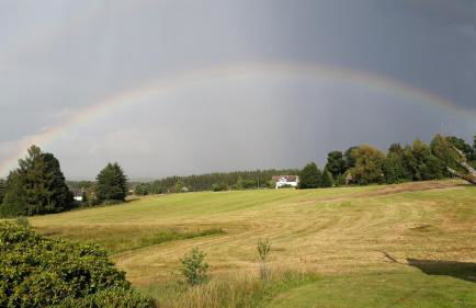 Ferienhof Zollfrank - Foto 26