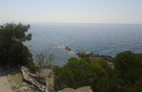 Apartmani SLAVKO TUKA - Foto 19