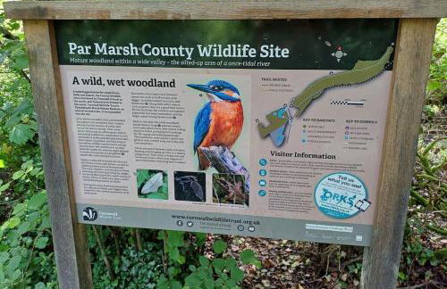 The Conifers 3 Room Small but Stylish Self Catering Bedsit Flat in Nature Reserve Free Eden taxi b4 9pm no lounge - Photo 21