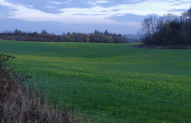 5 Person Holiday Home in Kolind - Photo 15