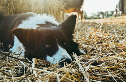 Agriturismo Vallerana - Foto 20