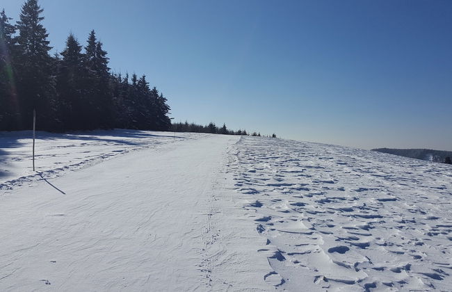 L'echappée Verte - Foto 55