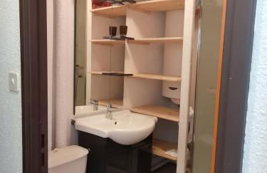 Un Isard au Pied des Pistes - Foto 11