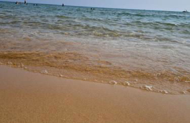 haska home - Foto 32