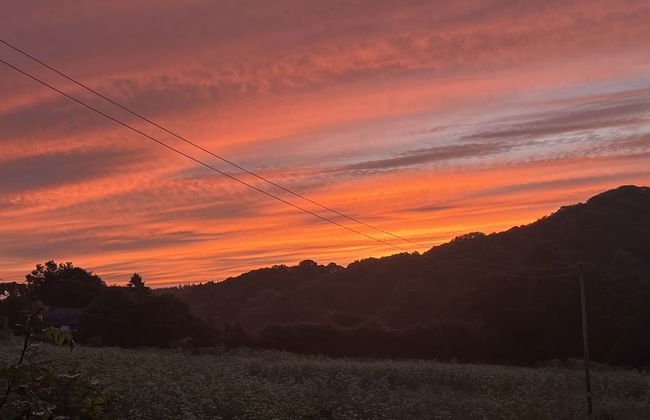 Lower Thornton Farm - Foto 30