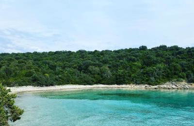 Rose house - Foto 10