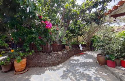 Finca Paraiso Casa Rural Tenerife - Foto 30