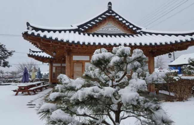 Sun Rise Pension - Foto 39