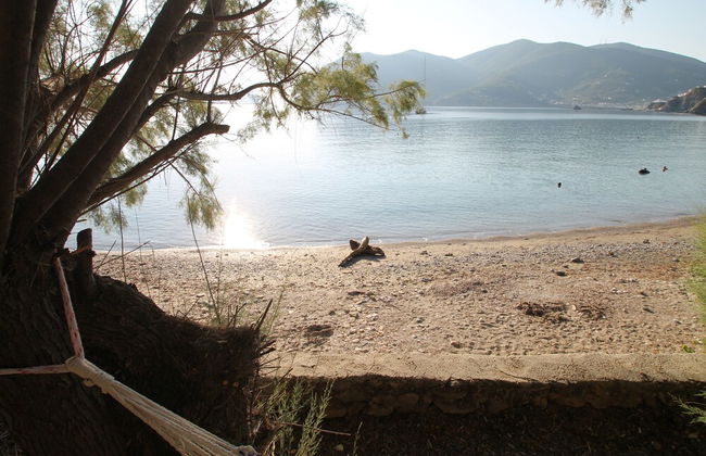 Maeiz Skopelos - Foto 30