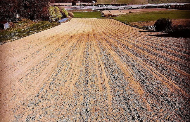 Agriturismo Campo al Sole - Foto 13