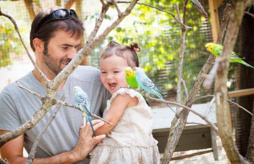 Lagoon Landing 303 - Foto 49