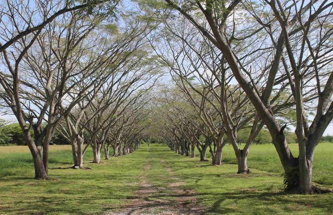 Escursione a Tamtoc e Taninul - Foto 3