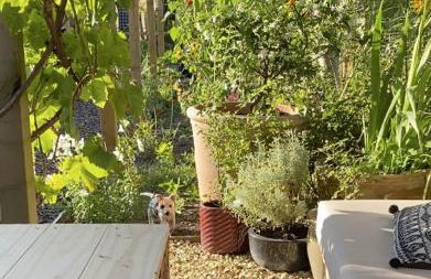 Eclectic Barn - Pergola & Dog-Friendly Garden - Photo 28