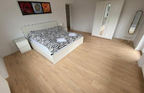 White House Izabelin Family SPA House near Warsaw - Foto 33