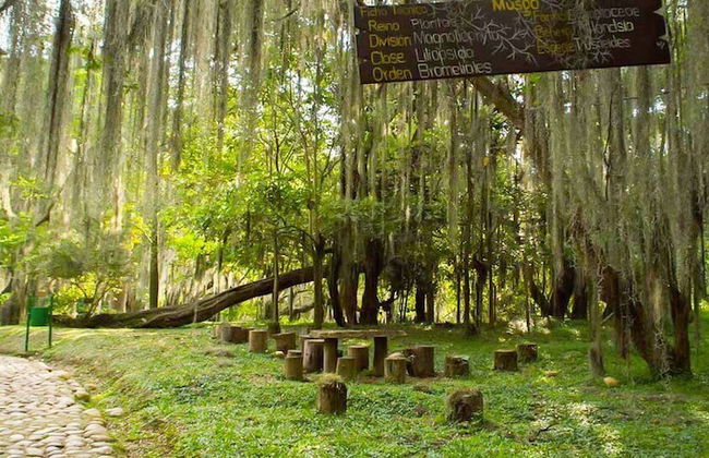 Apartamento Familiar - Foto 16