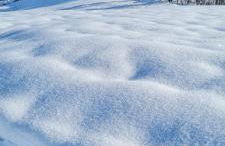 Landhaus Eibelesee - Foto 54