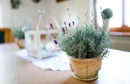 Hohes Ferienhaus - Foto 14