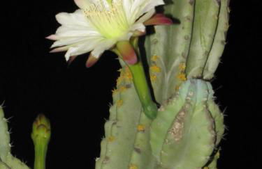 Agriturismo San Pietro - Foto 79