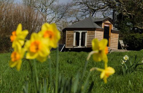 Lower Marsh Farm Glamping - Photo 47
