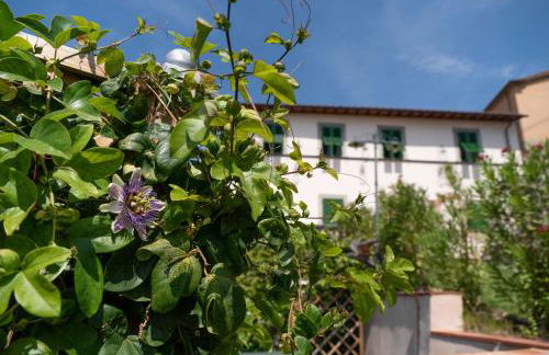 VILLA Castel del Monte PINOCCHIO story by COLLODI - Foto 6